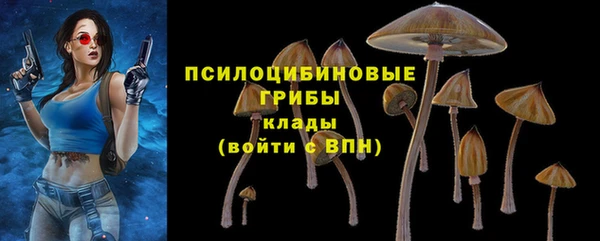 гидропоника Надым