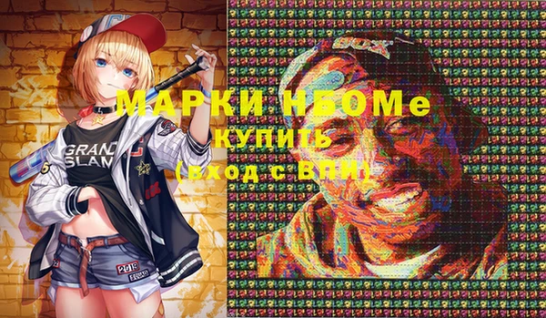 индика Михайлов
