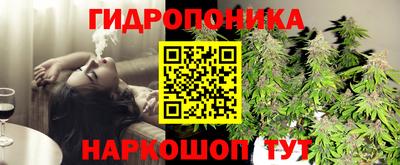 кокс Канаш