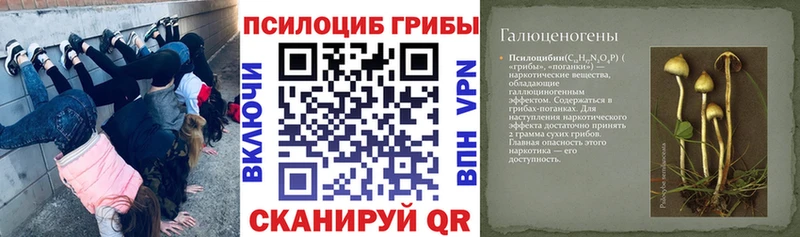 Псилоцибиновые грибы ЛСД Холмск