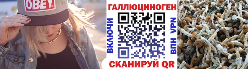 Псилоцибиновые грибы Psilocybe  Холмск 