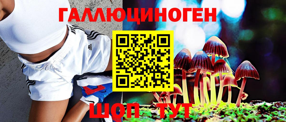 Псилоцибиновые грибы Cubensis Холмск